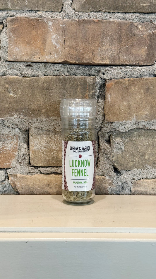 lucknow fennel grinder