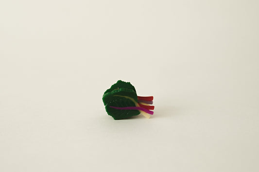 Rainbow Chard Hair Clip